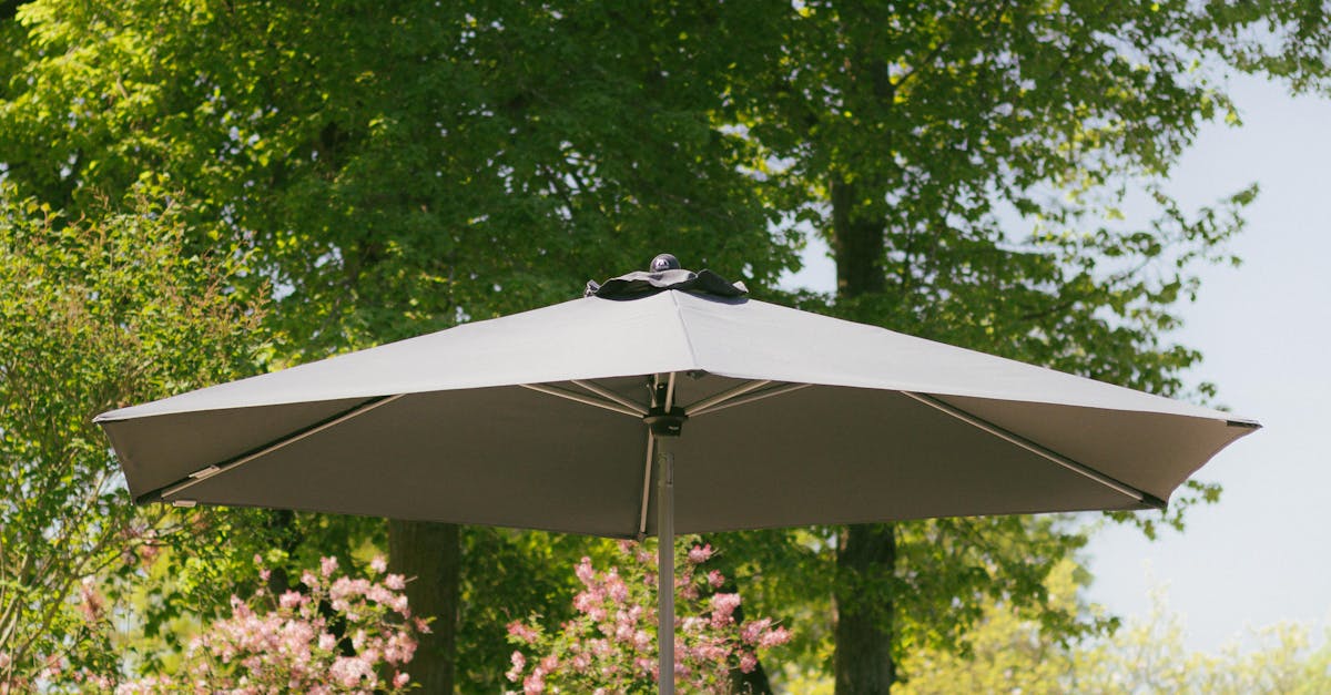 Choosing the Right Removalists for Your Corporate Events