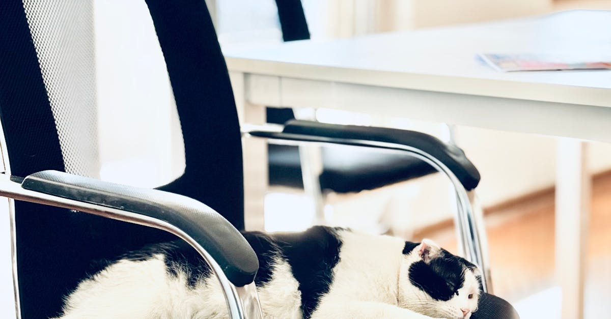 Climate Control in Storage: Is It Necessary for Your Furniture?