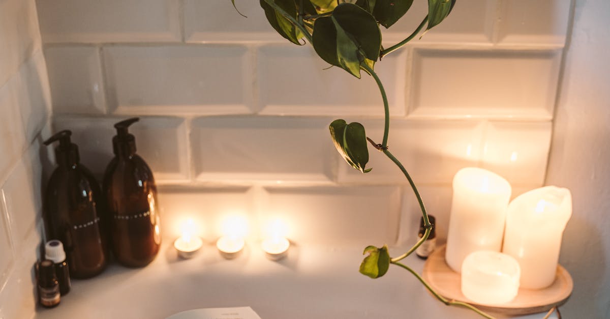 Essential Tips for a Smooth Interstate Move from Sydney