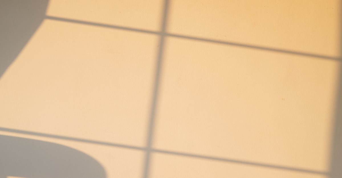 How to Choose the Right Removalists for Delicate Objects