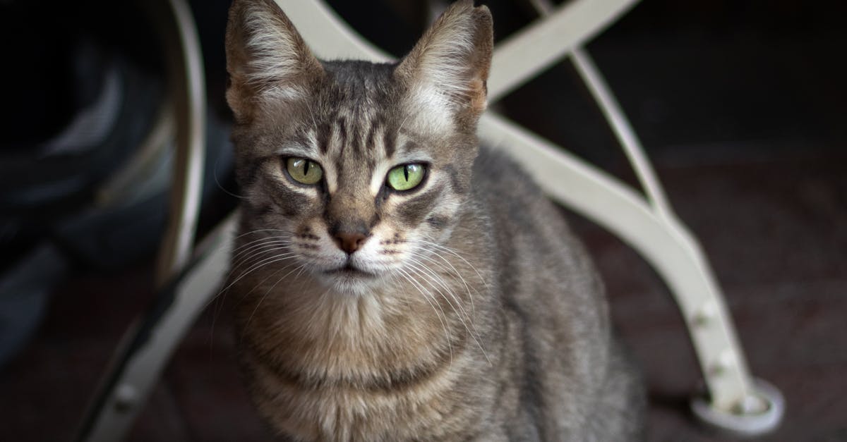 How to Organise Furniture Layout for Corporate Functions