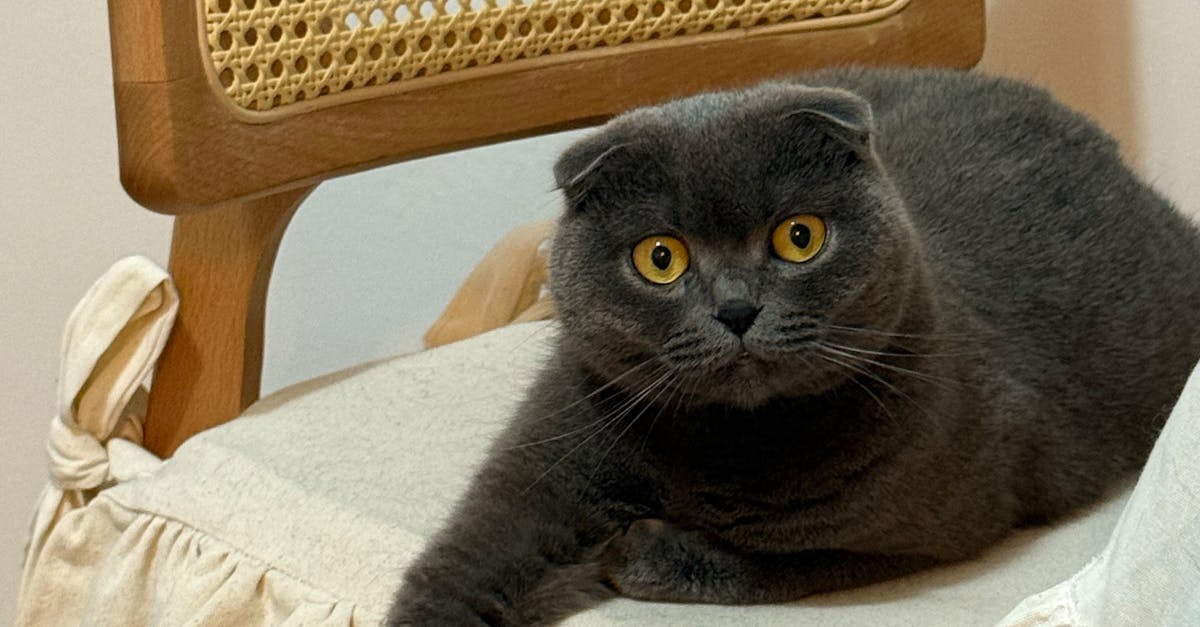 How to Protect Your Belongings During an Interstate Move