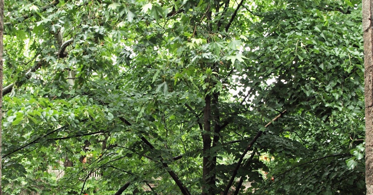 Optimising Your Corporate Furniture Storage for Business Efficiency