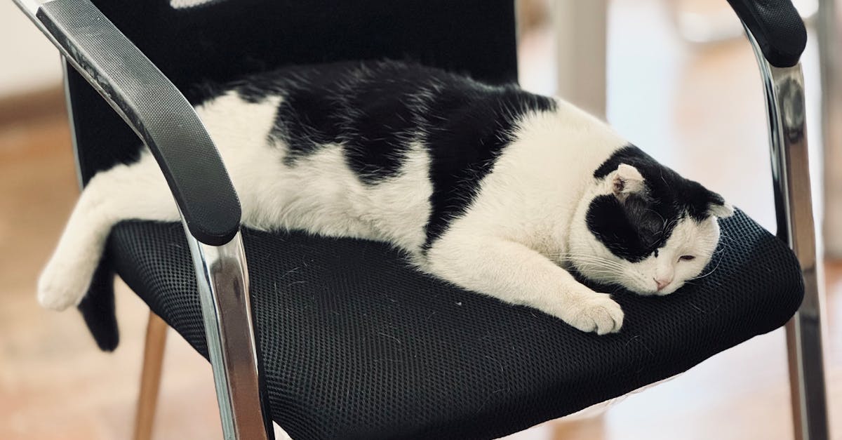 Top Mistakes to Avoid During Your Office Move